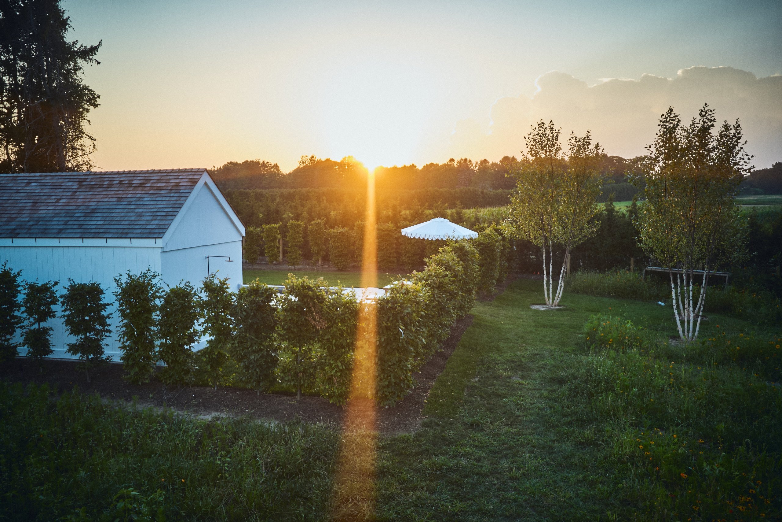 Last light over the meadow